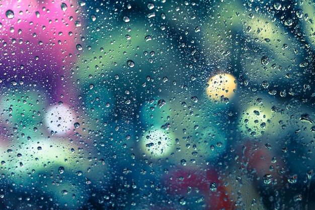 昨日とは一転、雨で秋の気候の画像