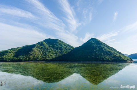 Reflectionの画像