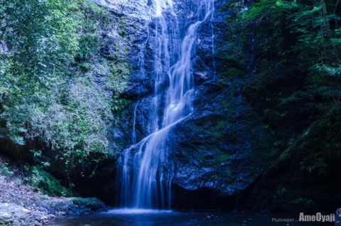 マイナスイオンに囲まれての画像