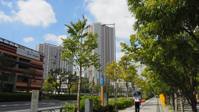 住みやすさ抜群の東京都江東区はファミリー層に人気！その理由とは？の画像