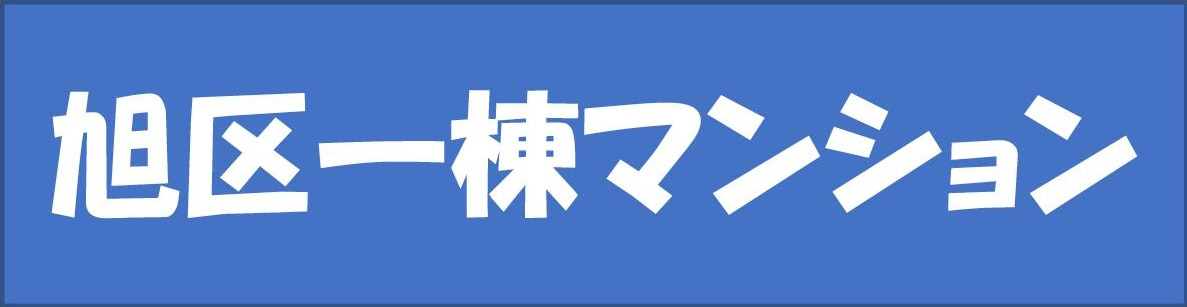本日の新着情報!!の画像