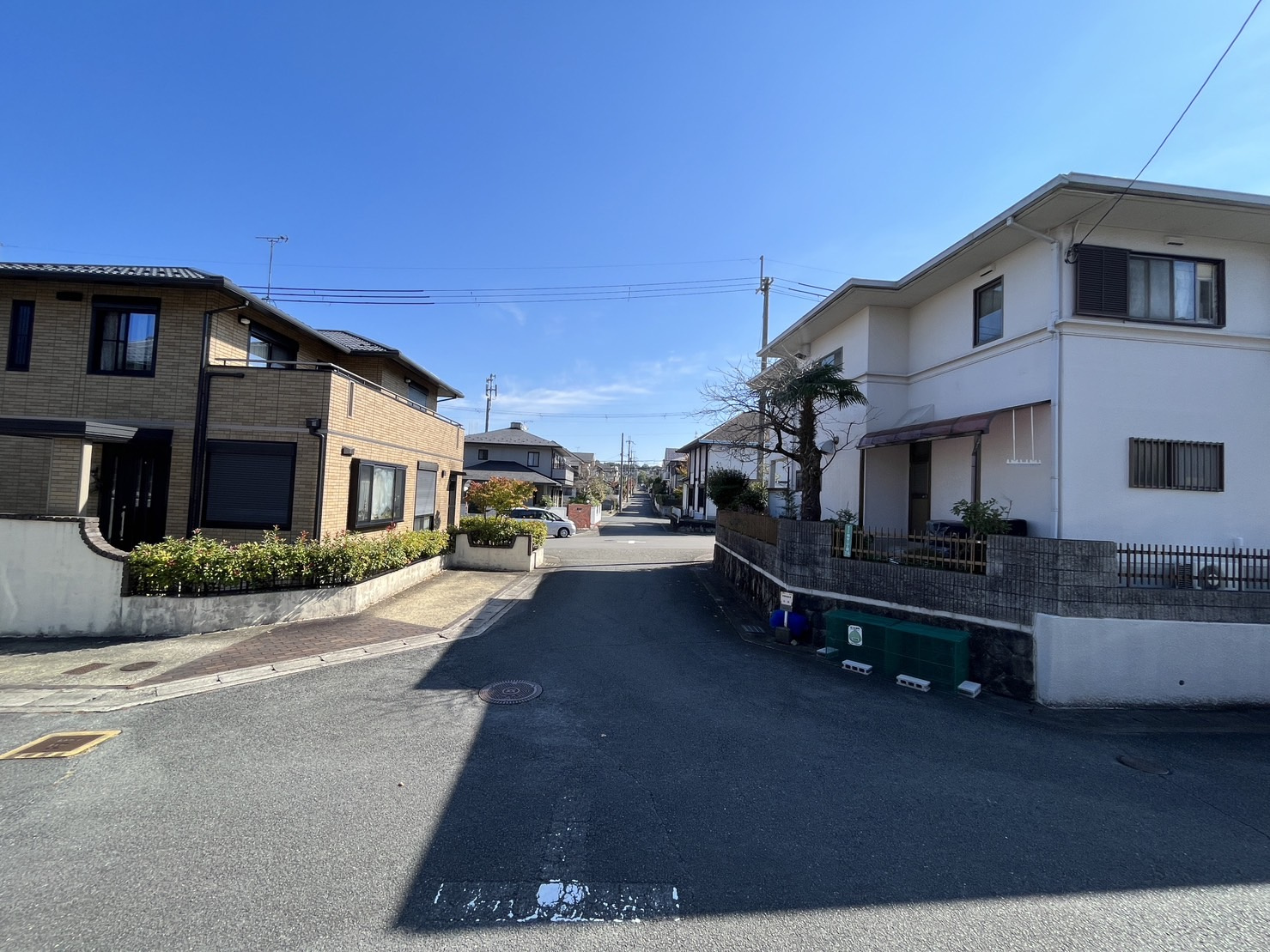 今が一番好きな季節です＾＾の画像