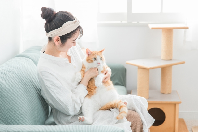 ペットのいるマンションの査定額は？チェックポイントと注意点を解説！の画像