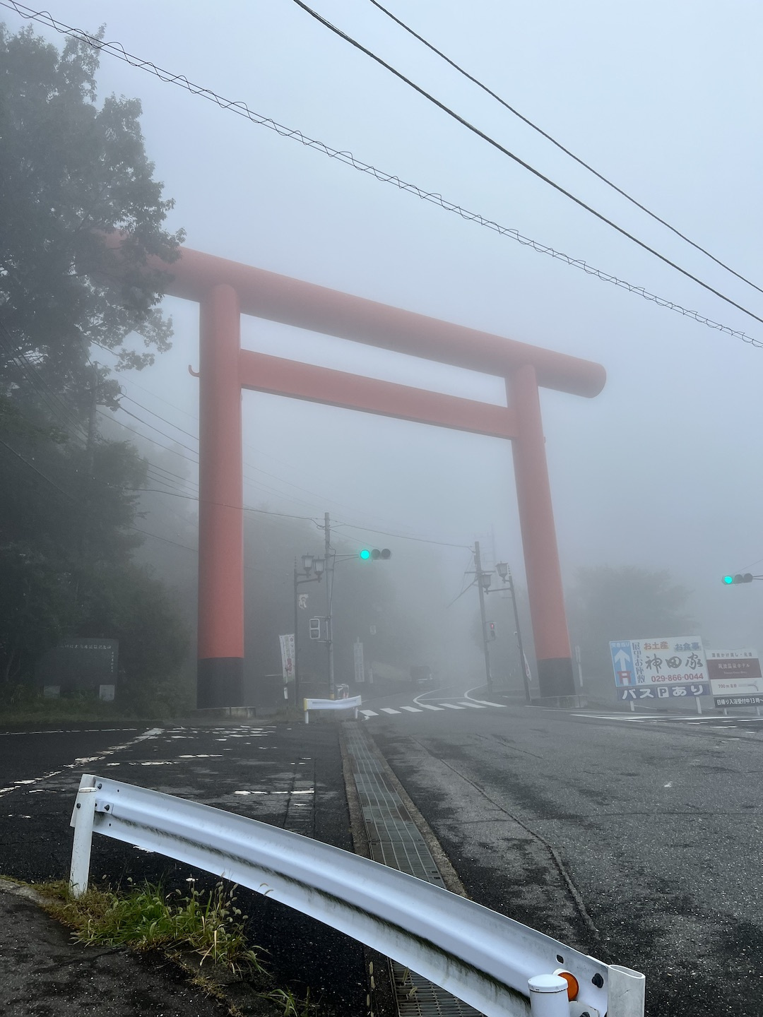 11月はしっかり更新します！！の画像
