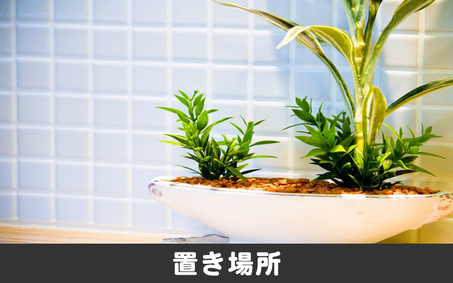風水における観葉植物の効果とは 置き場所やおすすめの種類についてご紹介 豊中市の賃貸 不動産のことならヒーローズハウジング 風水における観葉植物の効果とは 置き場所やおすすめの種類についてご紹介 豊中市の賃貸 不動産のことならヒーローズハウジング