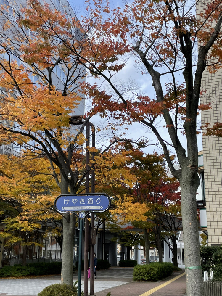 「葉の色が変わってきましたね^^」の画像