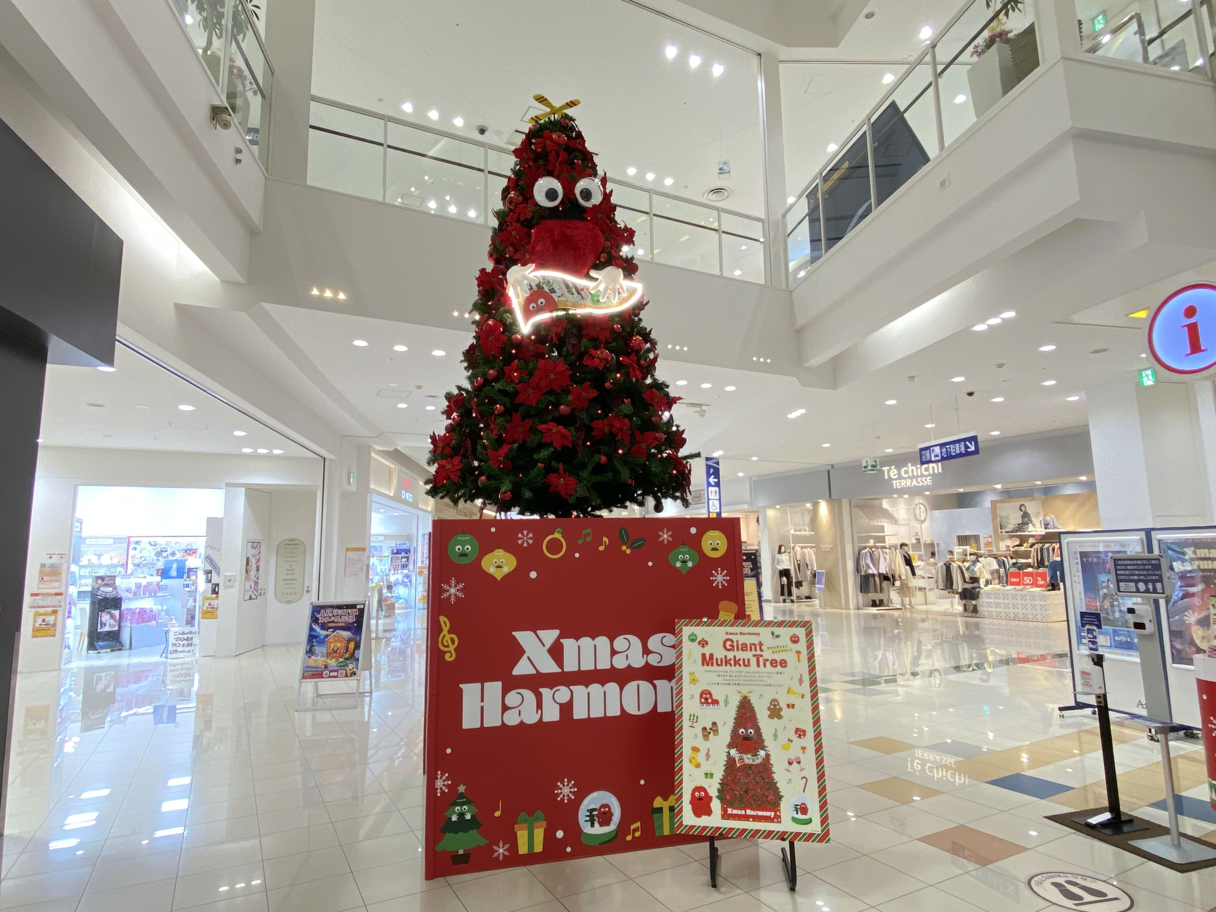 もうクリスマス？の画像