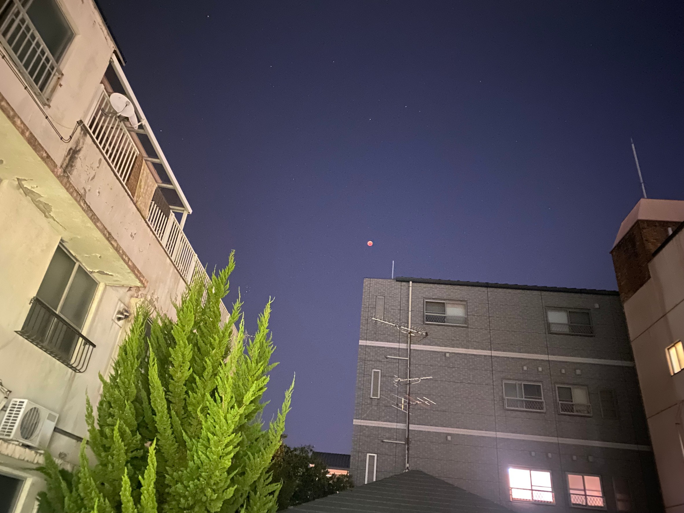 皆既月食の画像
