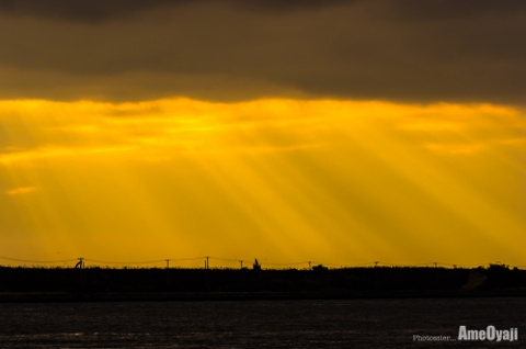 光のカーテンの画像