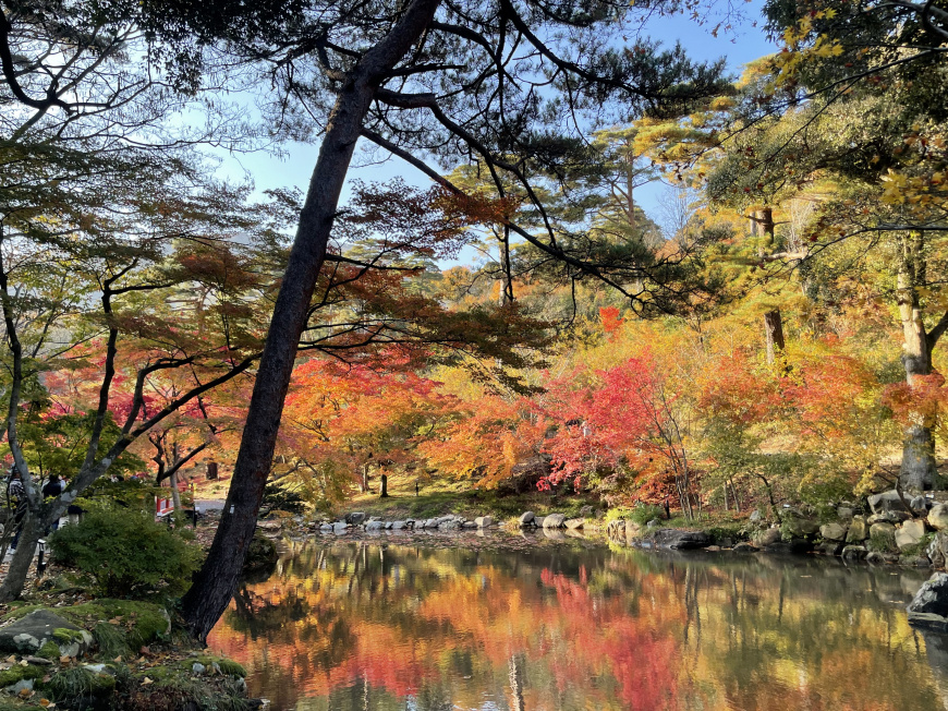「秋の紅葉」の画像