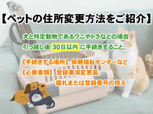 【ペットの住所変更方法をご紹介】ストレスを感じさせない輸送方法の画像