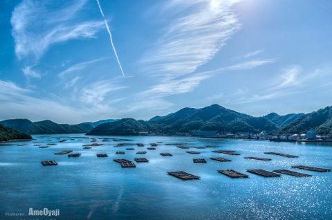 飛行機雲の画像