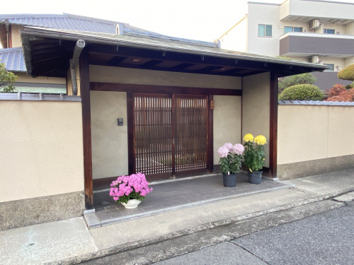 菊の画像
