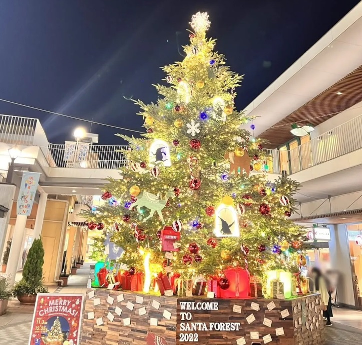 今年も始まりましたの画像