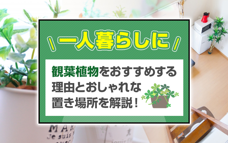 一人暮らしに観葉植物をおすすめする理由とおしゃれな置き場所を...の画像
