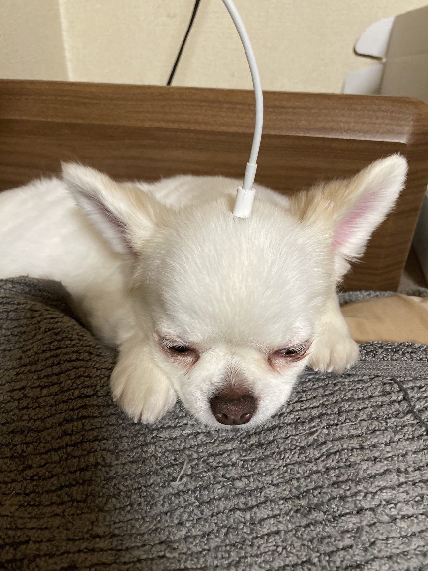 眠すぎ暇すぎ問題 Era Lixil不動産ショップ 合同会社aile