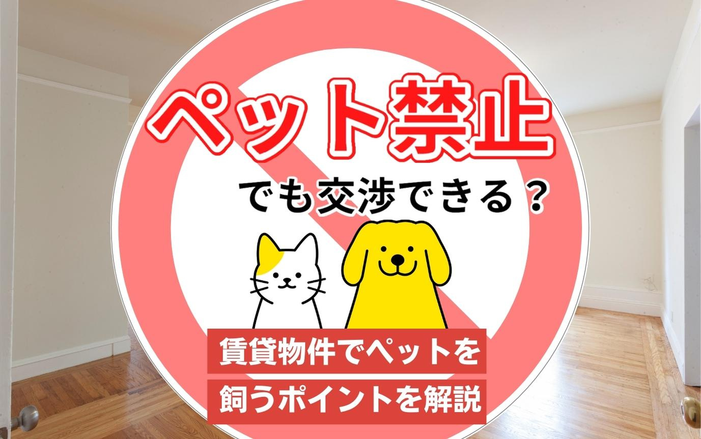 ペット禁止でも交渉できる？賃貸物件でペットを飼うポイントを解...の画像