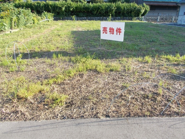 土地を売るベストタイミングを所有期間や地価動向から解説！の画像