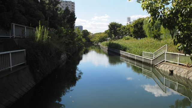 【必見】水路に面している土地は売却しづらい？売却方法や注意点...の画像