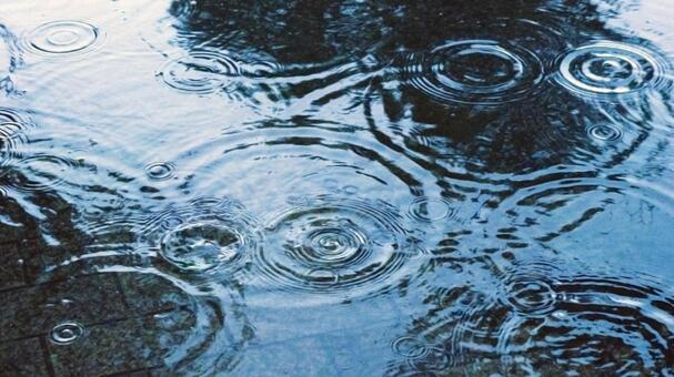 寒雨の画像