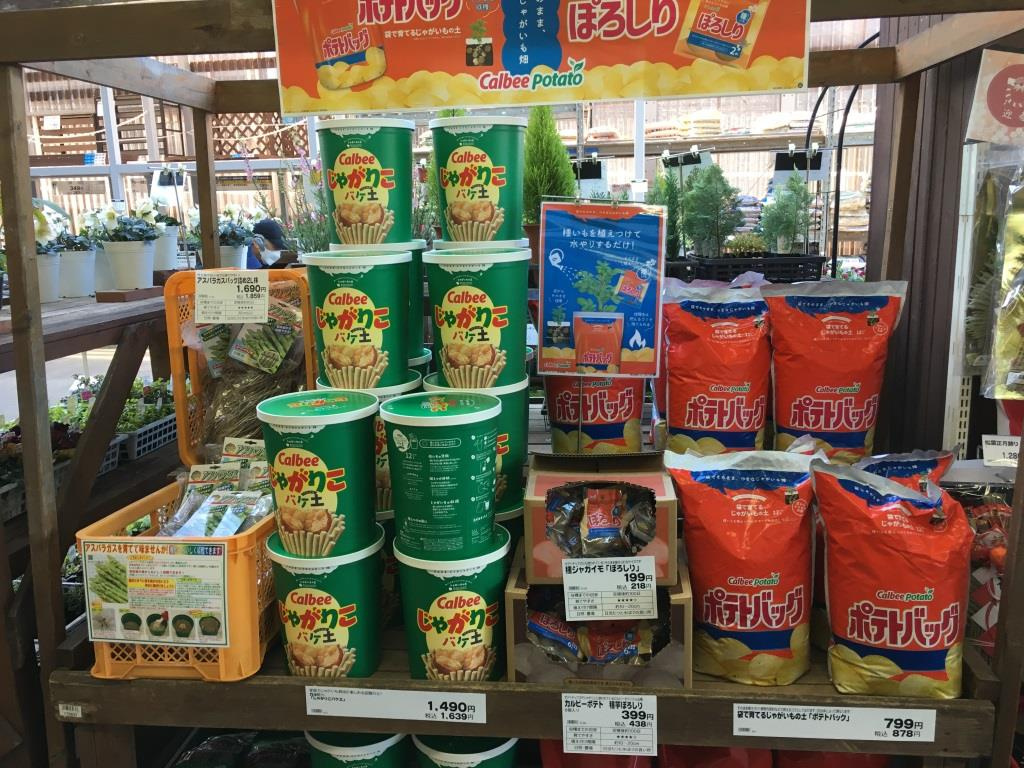 カルビー ポテトバッグとじゃがりこバケ土？　【ホームメイトF...の画像