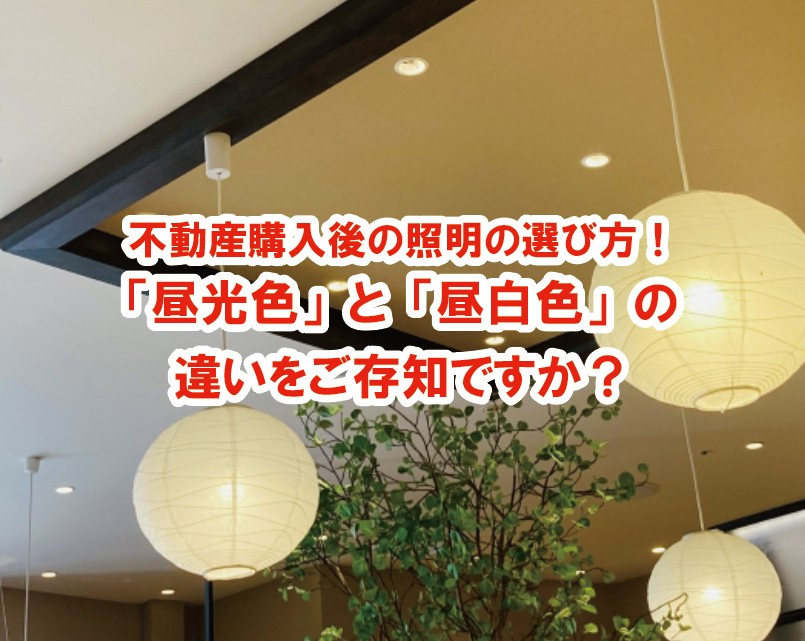 不動産購入後の照明の選び方！「昼光色」と「昼白色」の違いをご...の画像
