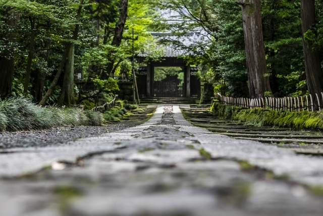 鎌倉市にある寿福寺とは？概要や見どころをご紹介の画像