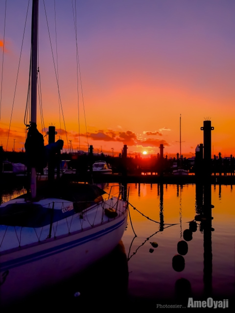 ヨットハーバーの夕べの画像