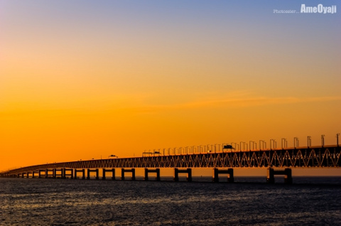 照らされての画像