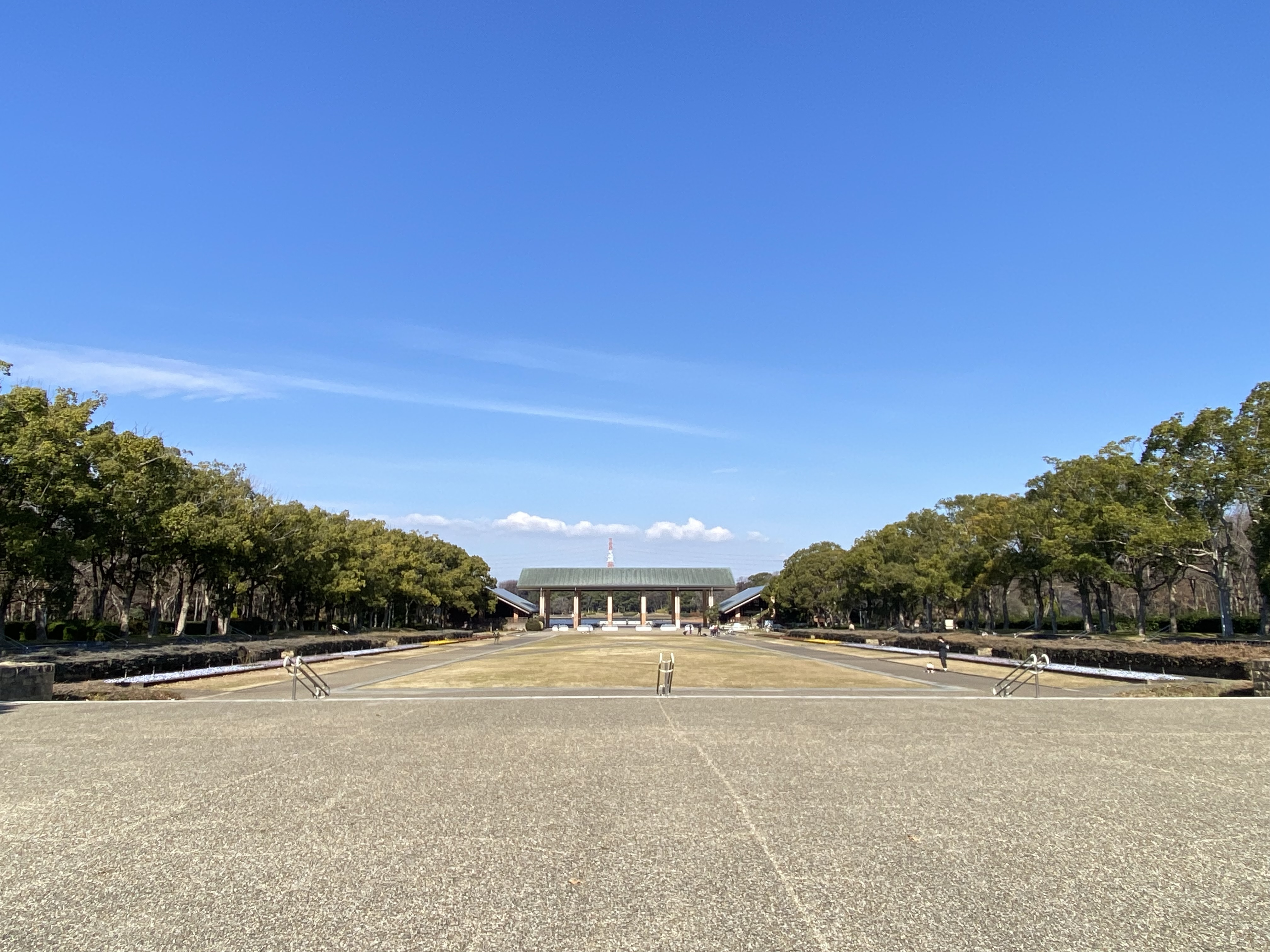 大晦日のお散歩の画像