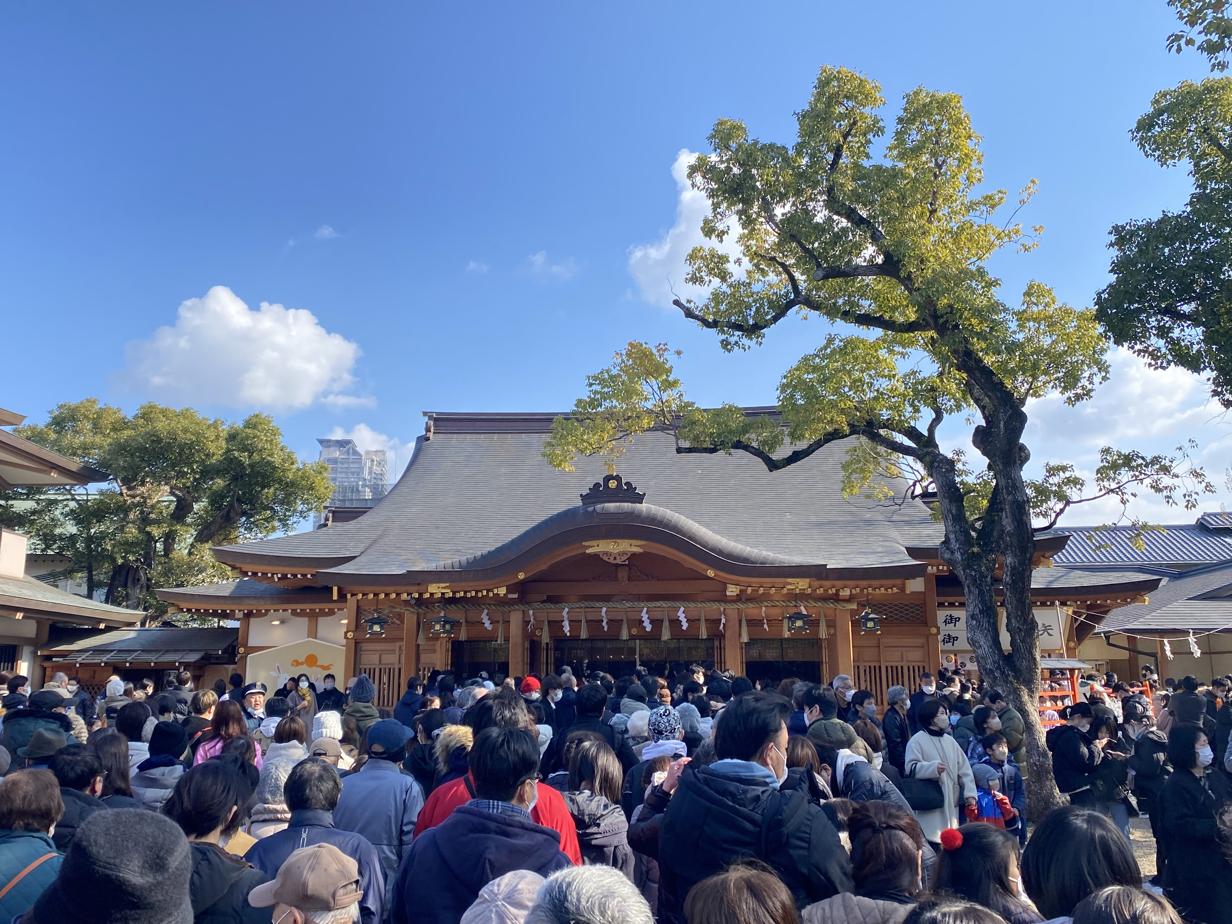 初詣の画像