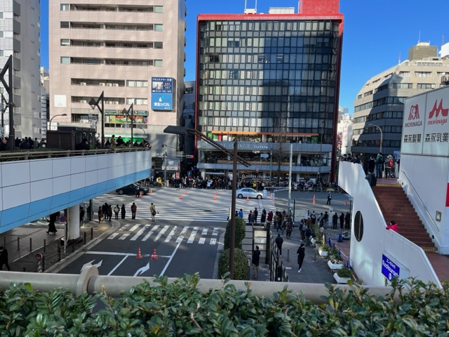 箱根駅伝の画像
