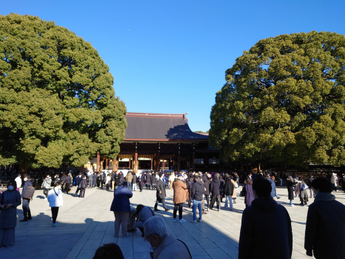 新年のご挨拶の画像