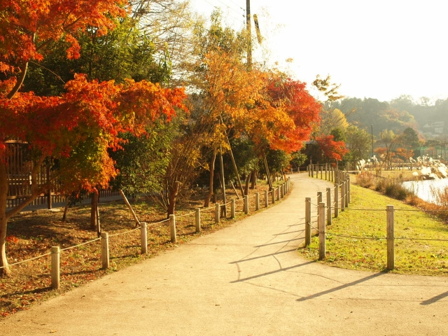 鎌倉市の史跡永福寺跡とは？復元された史跡公園の見どころをご紹...の画像