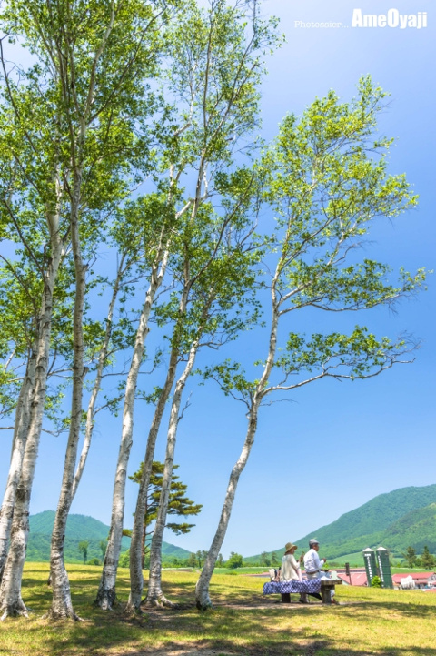 ほのぼのランチの画像