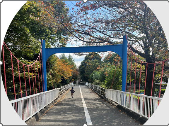 新築戸建てを購入するときにおさえておきたい内覧会のチェックポ...の画像