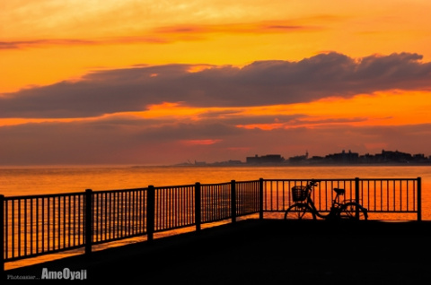 夕暮れ散歩の画像