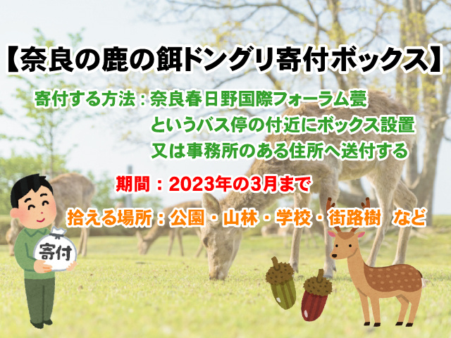 【奈良の鹿の餌を集めるドングリ寄付ボックス】寄付の方法情報まとめの画像