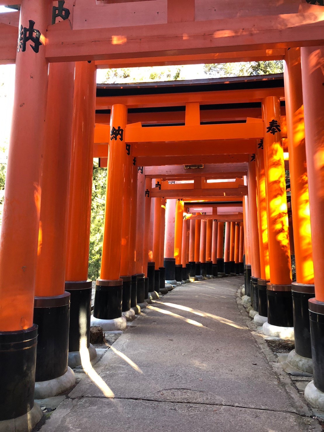 風情ある街の画像