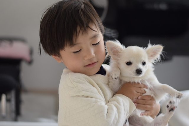 賃貸物件入居後にペット飼育は交渉できる？交渉成立のコツを解説...の画像