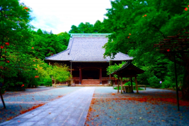 神奈川県鎌倉市にある妙本寺の概要と見どころをご紹介！の画像