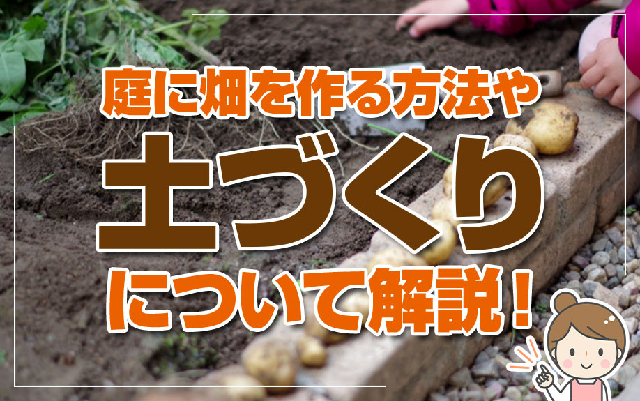 庭に畑を作る方法や土づくりについて解説！の画像