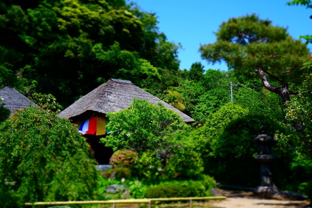 神奈川県鎌倉市にある有名な寺院「明王院」の概要と見どころをご...の画像