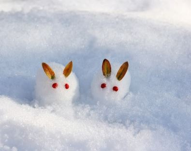２月(^_^)/の画像