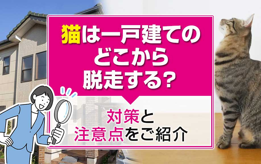 猫は一戸建てのどこから脱走する？対策と注意点をご紹介の画像