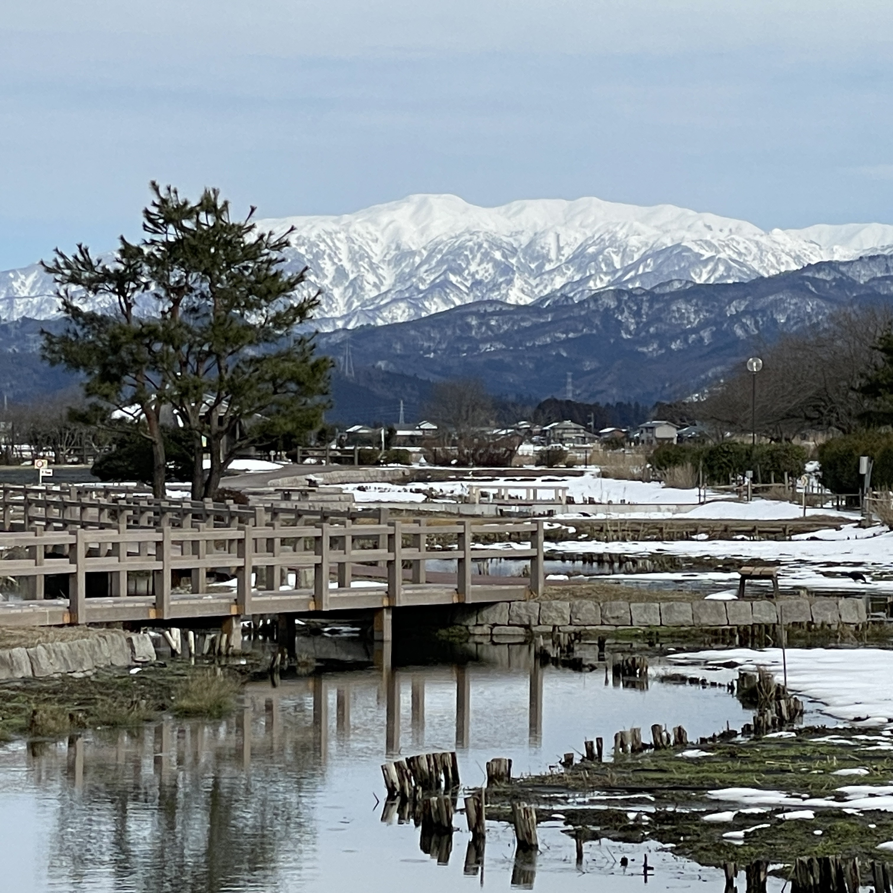 にいがたの不動産　49号線バイパス通ってみましたの画像