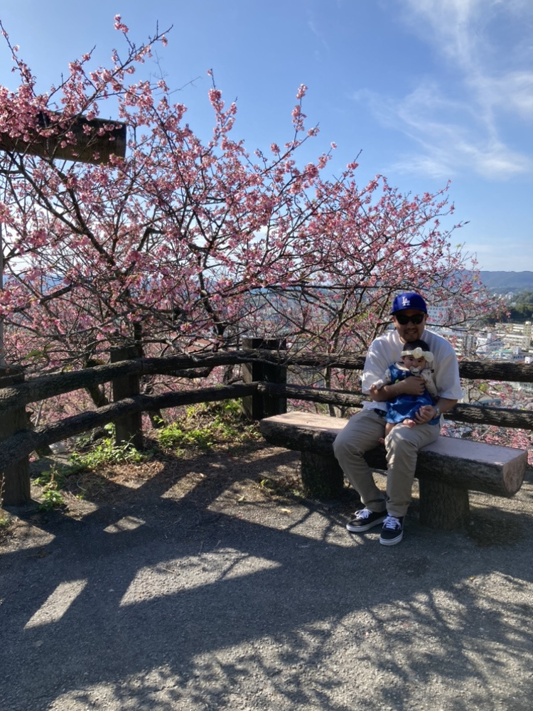 日本一早く咲く桜！！の画像