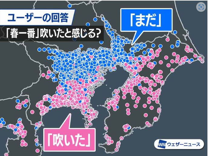 「春一番は吹かず！」　【ホームメイト大船駅前店　ジェイワンの...の画像