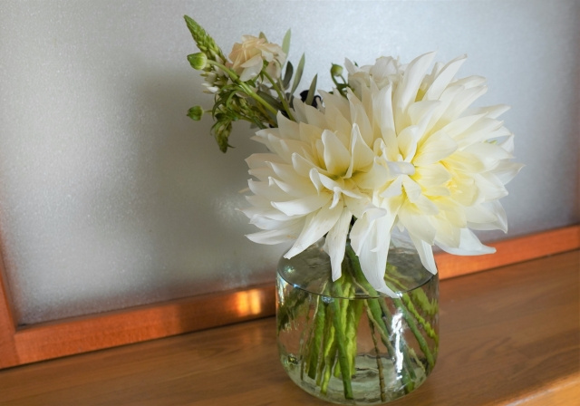 風水における観葉植物の効果とは？おすすめの種類は置き場所をご...の画像