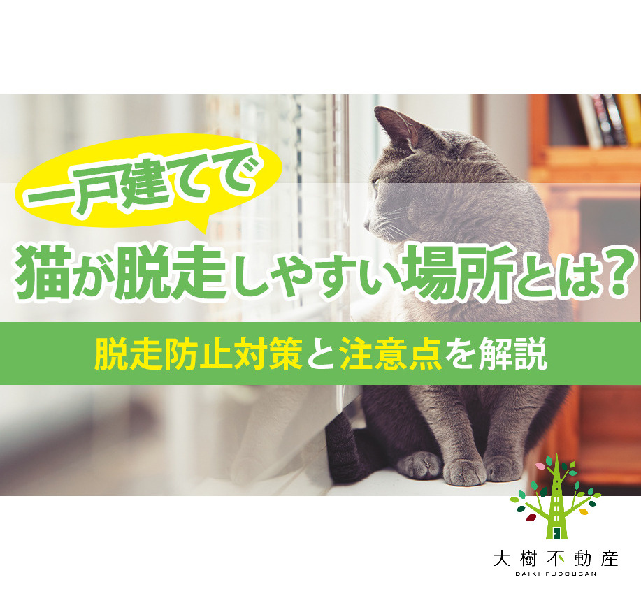 一戸建てで猫が脱走しやすい場所とは？脱走防止対策と注意点を解...の画像